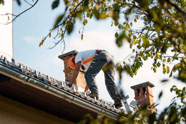 Quick and Trustworthy Emergency Roof Repair Services in Pana, IL