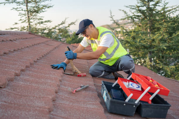 Best Best Roofing Contractors  in Pana, IL